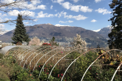 Aktuelles Foto vom 25.03.2017