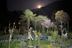 Aktuelles Foto vom 15.04.2022