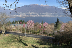 Aktuelles Foto vom 13.03.2020