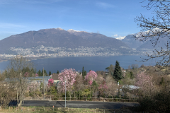 Aktuelles Foto vom 13.03.2020
