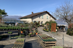 Aktuelles Foto vom 13.03.2020