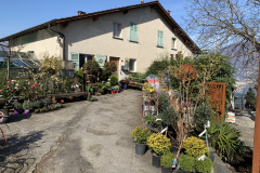Aktuelles Foto vom 13.03.2020