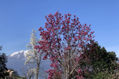 Aktuelles Foto vom 13.03.2020