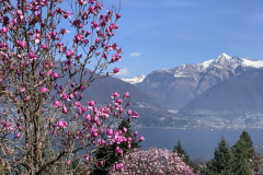 Aktuelles Foto vom 13.03.2020