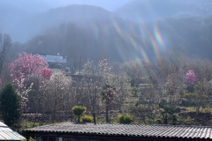 Aktuelles Foto vom 13.03.2020