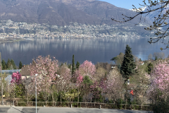 Aktuelles Foto vom 18.03.2020