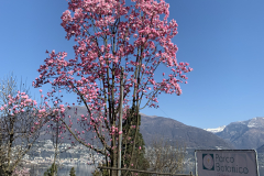 Aktuelles Foto vom 18.03.2020