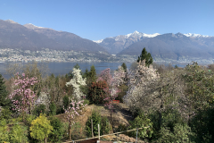 Aktuelles Foto vom 18.03.2020
