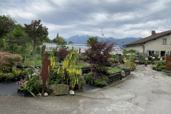 Aktuelles Foto vom 05.05.2020