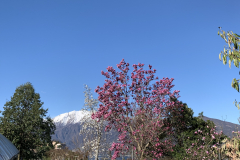 Aktuelles Foto vom 20.03.2021